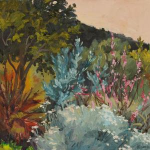Watsonia Bed